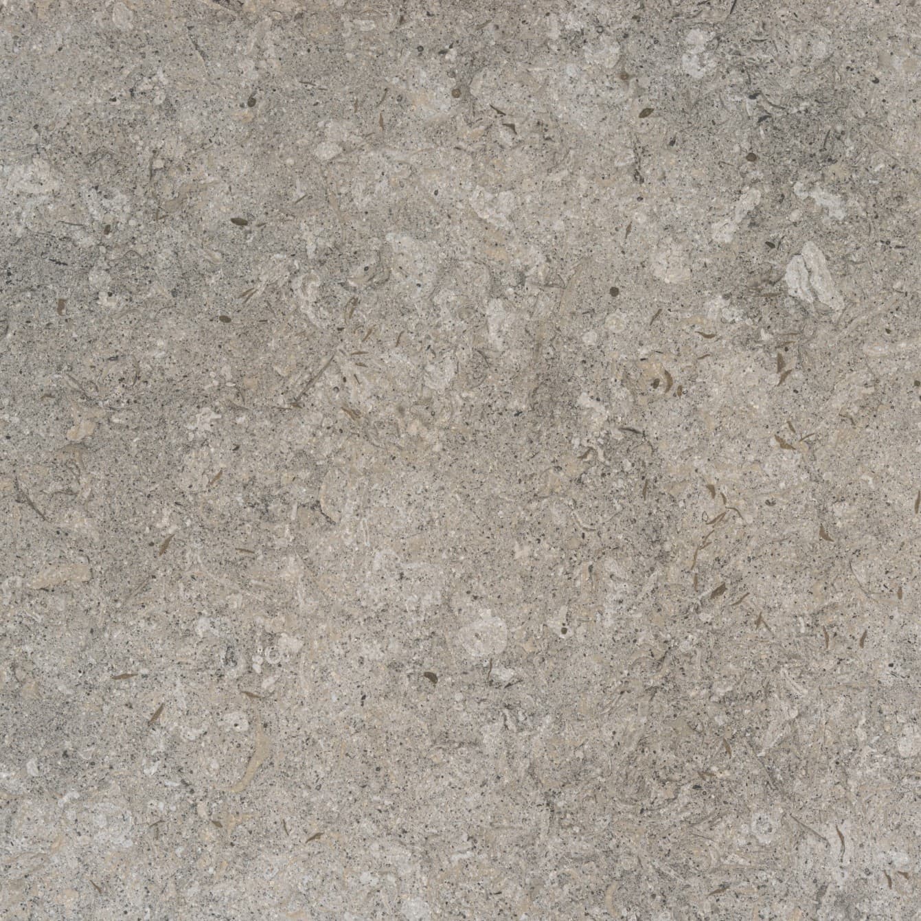 Echantillon d'image du coloris : Grigio