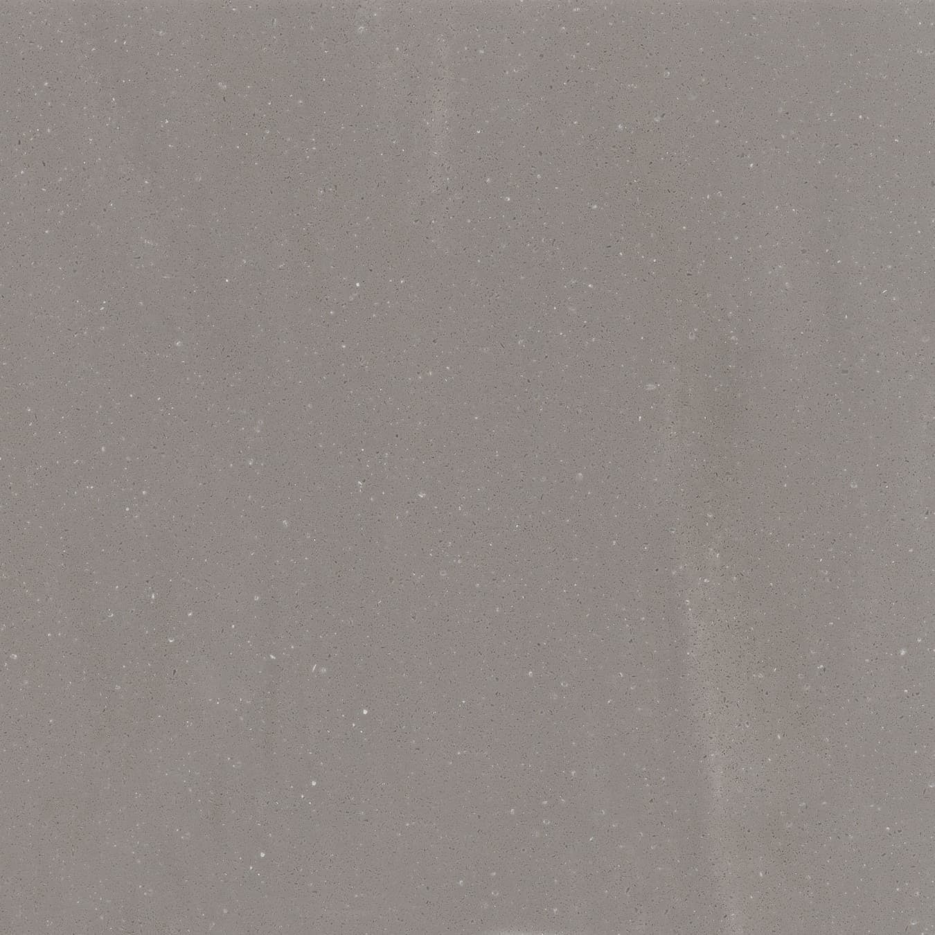 Echantillon d'image du coloris : Ash Concrete