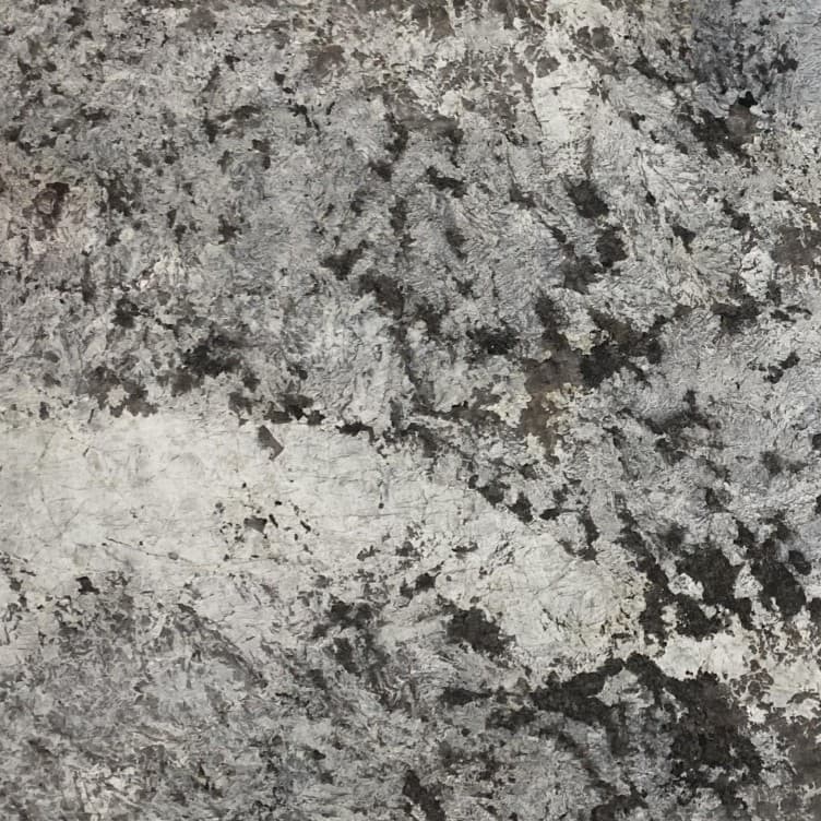 Echantillon d'image du coloris : Alpinus